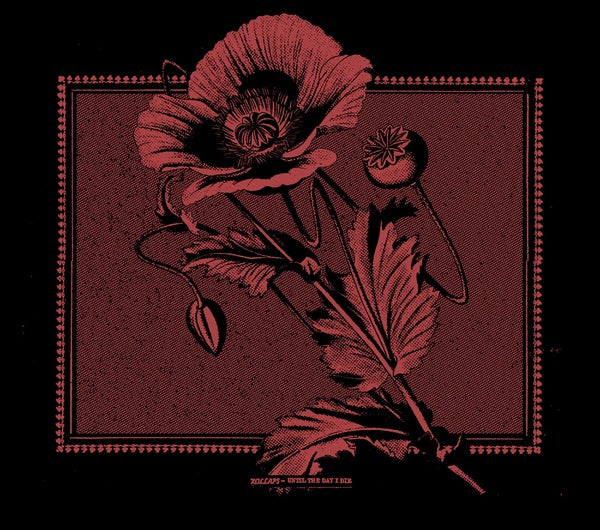 KOLLAPS - Until The Day I Die [CD] (ONLINE ORDER ONLY)