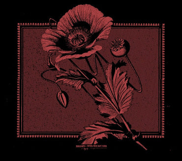 KOLLAPS - Until The Day I Die [CD] (ONLINE ORDER ONLY)