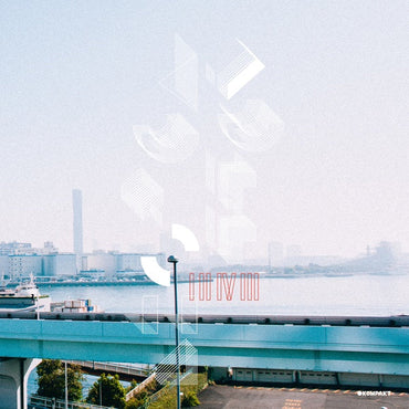 1243 [Vinyl] (ONLINE ORDER ONLY)