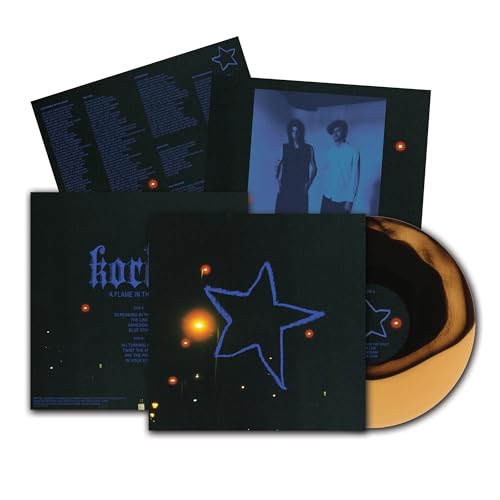 A Flame In The Dark [Vinyl]