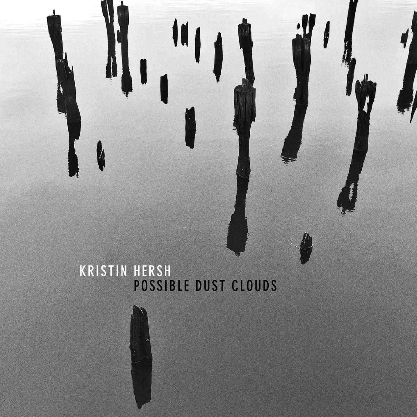 Possible Dust Clouds [Vinyl] (ONLINE ORDER ONLY)