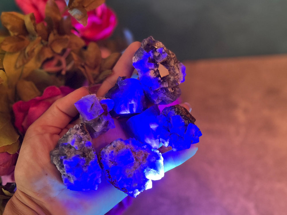 RARE Lady Annabella Fluorite Clusters, Green Purple Yellow and Clear Fluorite, CLOSED Mine! (ONLINE ORDER ONLY)