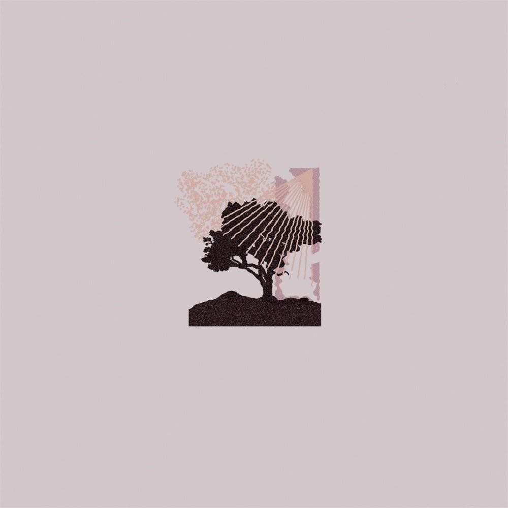 Performances [CD]
