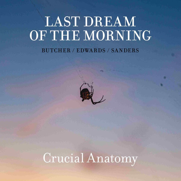 Crucial Anatomy [CD]