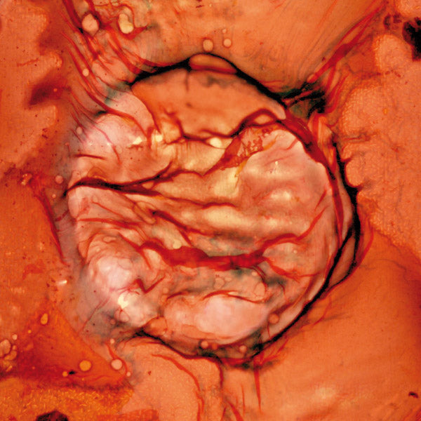 Bastet [Vinyl] (ONLINE ORDER ONLY)