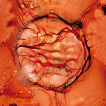 Bastet [Vinyl] (ONLINE ORDER ONLY)