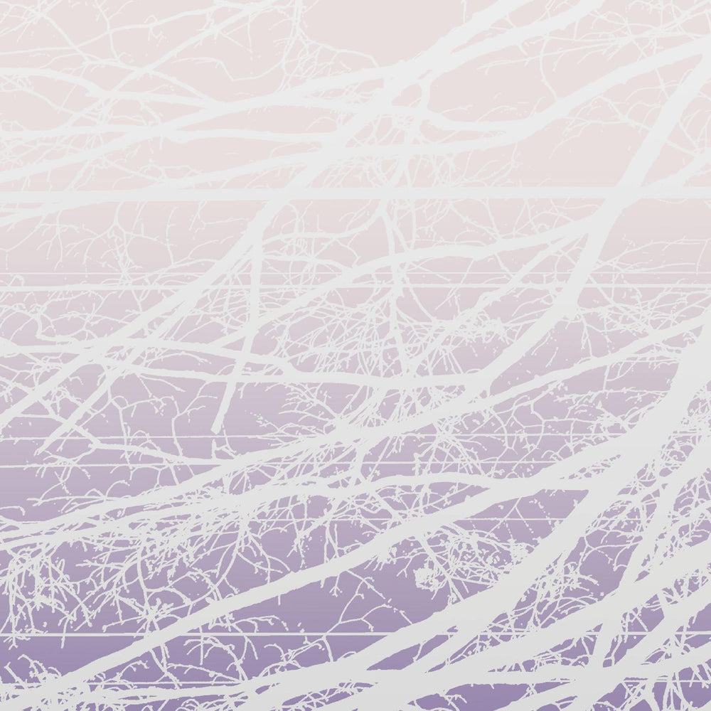 Metal Aether / Resonant Field [Vinyl]