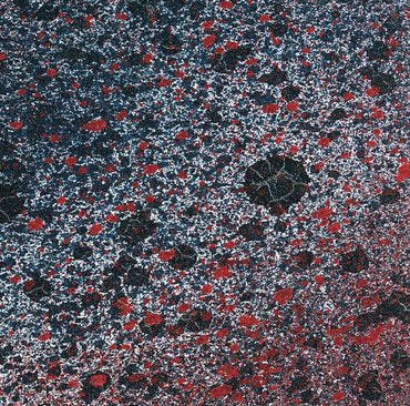 LEITMOTIV LIMBO - Superior State [Vinyl]