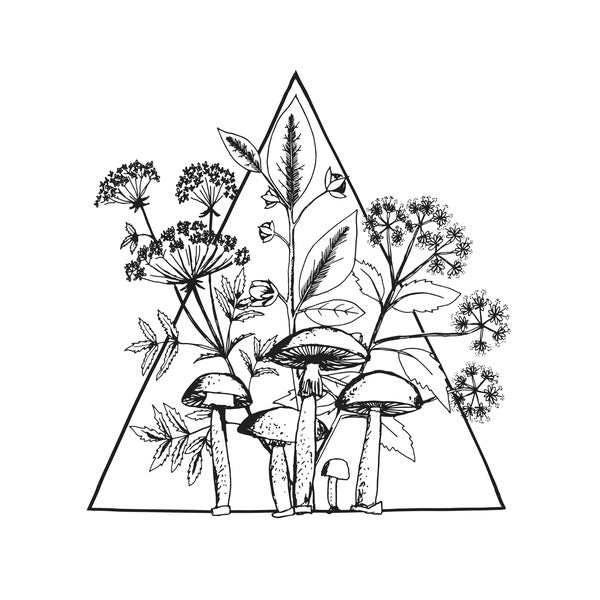 Cassette [Vinyl] (ONLINE ORDER ONLY)