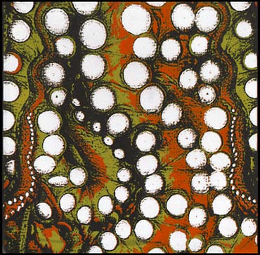 LES CONVERSIONS - Les Conversions [Vinyl] (ONLINE ORDER ONLY)