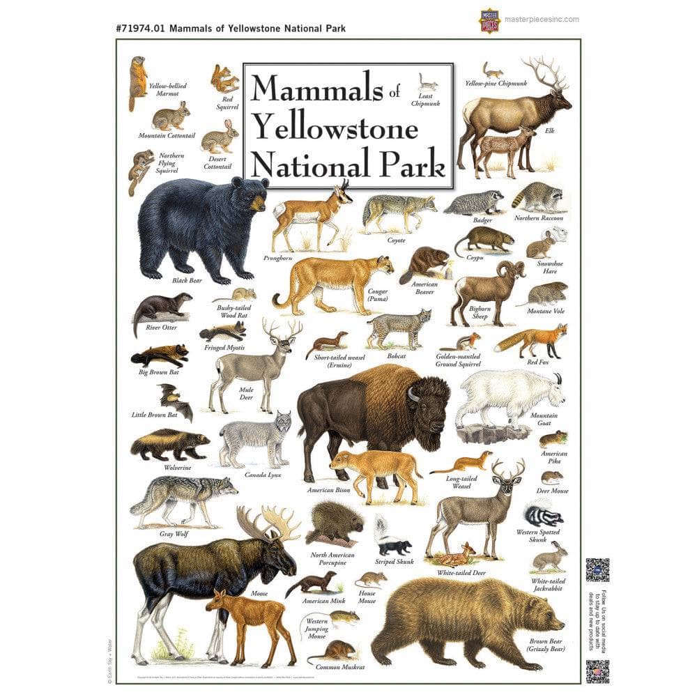 Mammals of Yellowstone National Park 1000 Piece Jigsaw Puzzle (ONLINE ORDER ONLY)