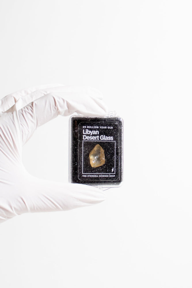 Libyan Desert Glass