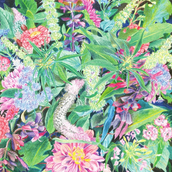 The Rising Wave [Vinyl]