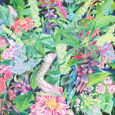 The Rising Wave [Vinyl]