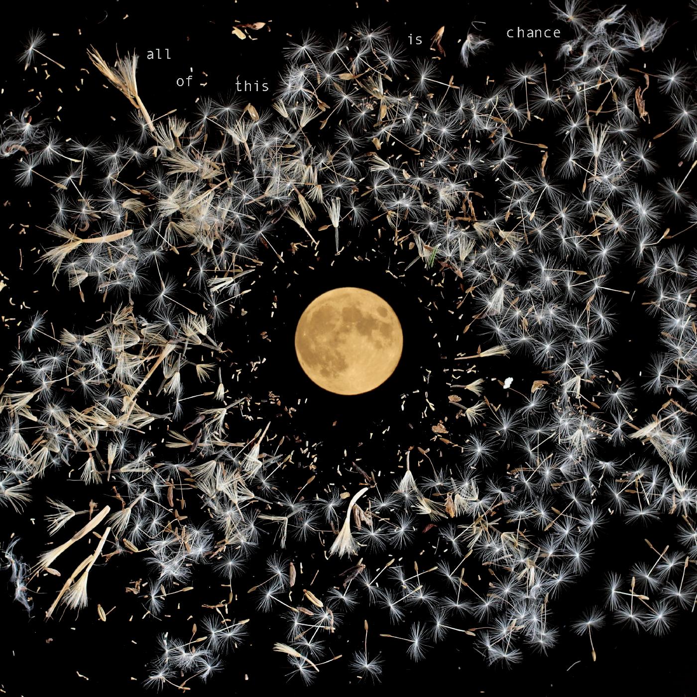 All Of This Is Chance [CD] (ONLINE ORDER ONLY)