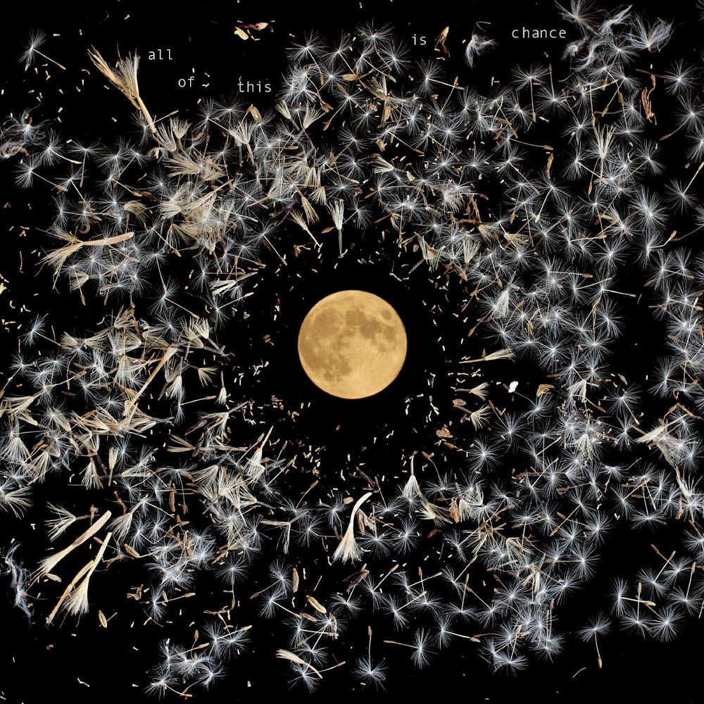 All Of This Is Chance [CD]