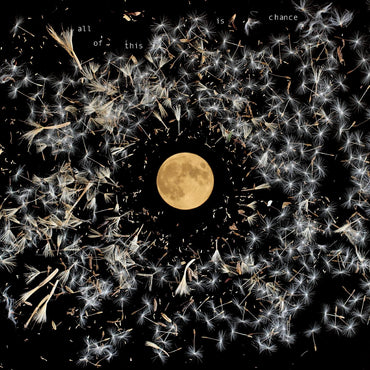 All Of This Is Chance [Vinyl] (ONLINE ORDER ONLY)