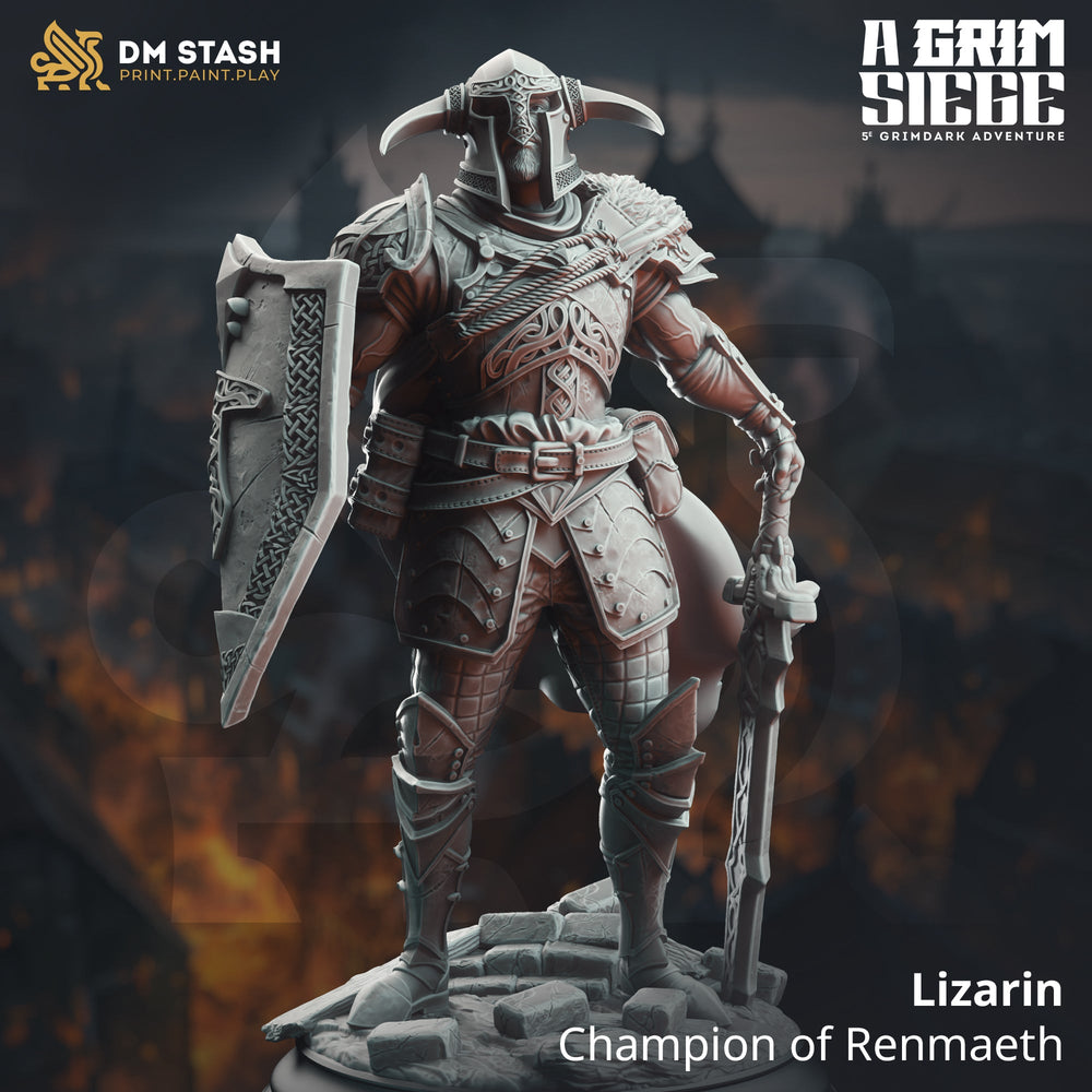 Lizarin, Champion of Renmaeth (Male Human Paladin) (Online Only)