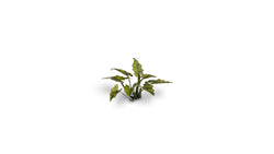 Gamers Grass | Laser Plants | Lords and Ladies (ONLINE ORDER ONLY)
