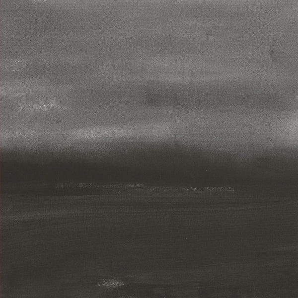 LOREN CONNORS & DAVID GRUBBS - Evening Air [Vinyl] (ONLINE ORDER ONLY)