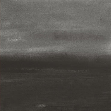 LOREN CONNORS & DAVID GRUBBS - Evening Air [Vinyl] (ONLINE ORDER ONLY)