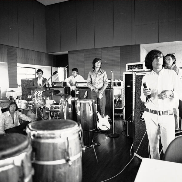 El Sonido Niebla De Los Texao [Vinyl]