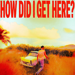 How Did I Get Here? (Indie Exclusive) [White/Yellow Marble LP] [Vinyl] (ONLINE ORDER ONLY)