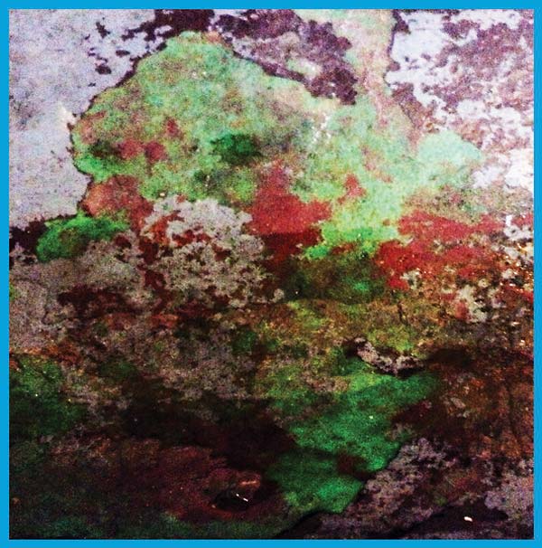 LST - Th Duo [Vinyl] (ONLINE ORDER ONLY)