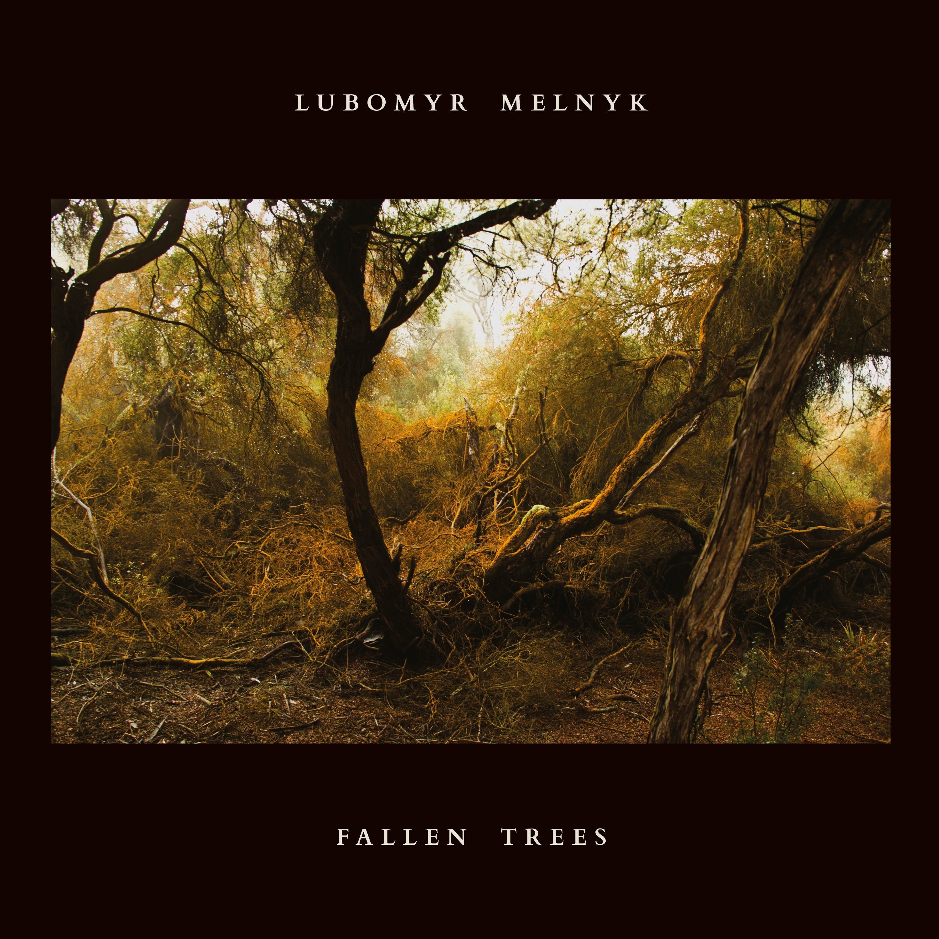 Fallen Trees [CD] (ONLINE ORDER ONLY)