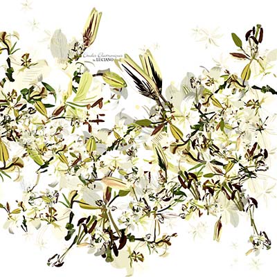 Luciano - Études Électroniques [Vinyl] (ONLINE ORDER ONLY)