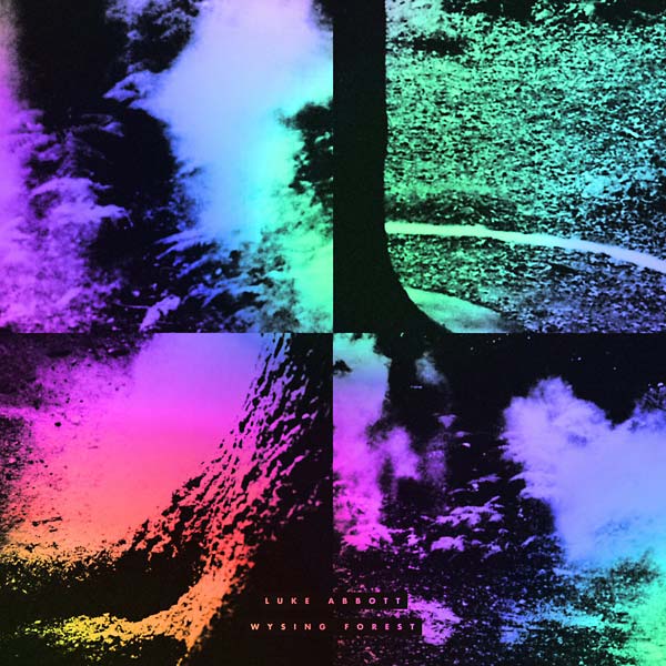 LUKE ABBOTT - Wysing Forest [Vinyl] (ONLINE ORDER ONLY)