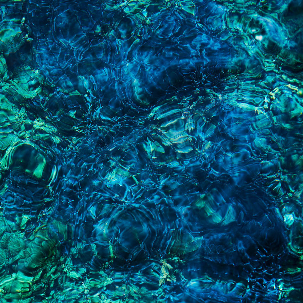 Luminescent Creatures [Vinyl] (ONLINE ORDER ONLY)