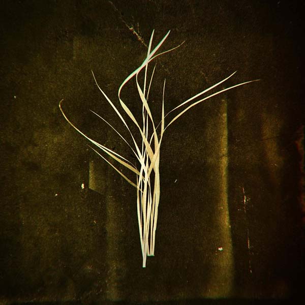 Mnemosyne [Vinyl] (ONLINE ORDER ONLY)