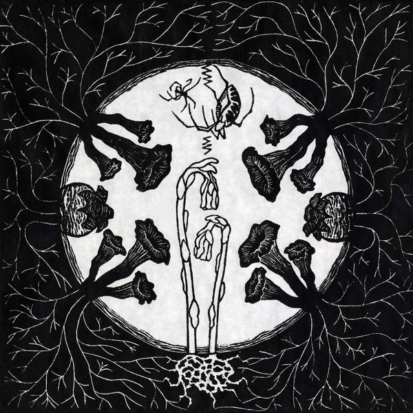 Magic Tuber Stringband - Tarantism [Vinyl] (ONLINE ORDER ONLY)