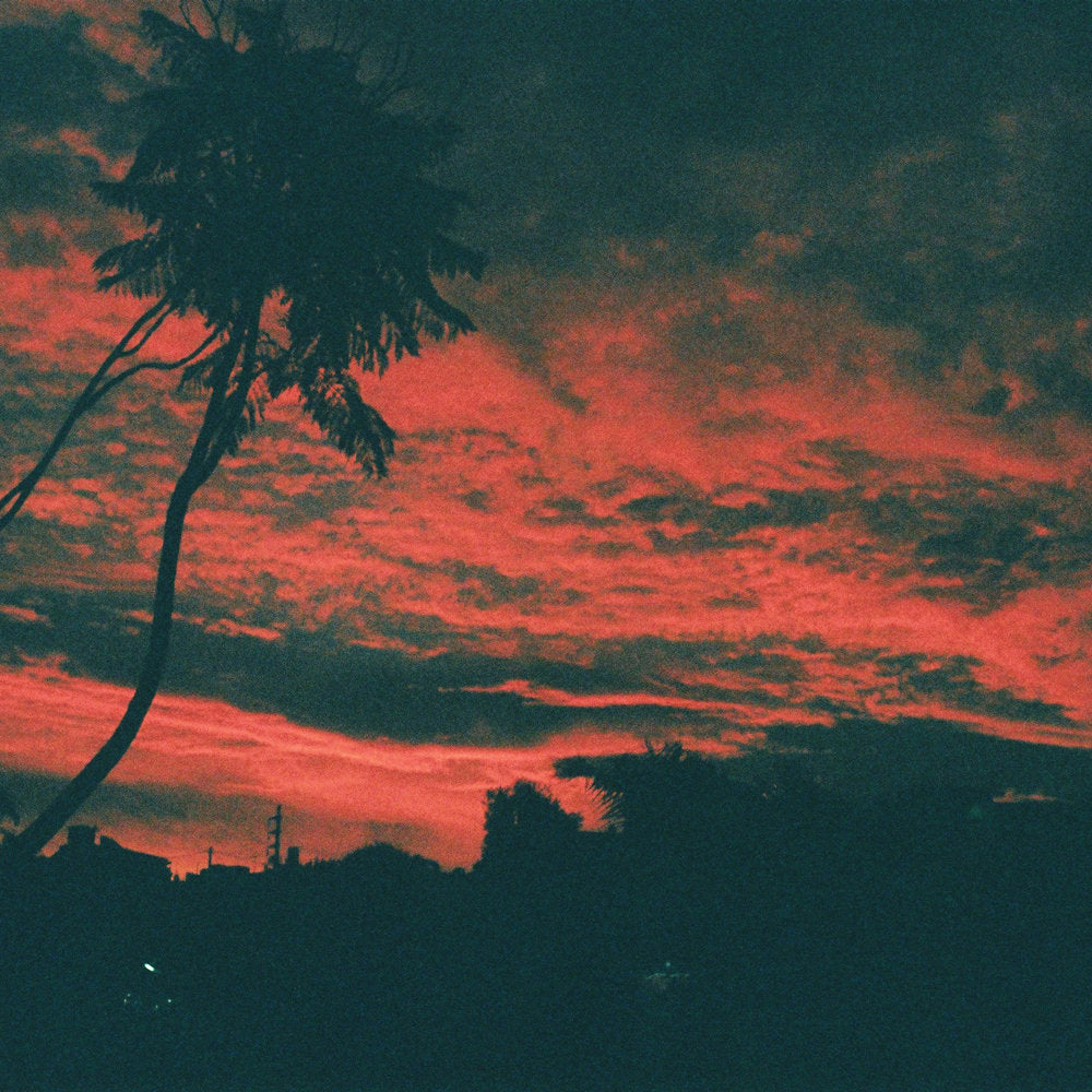 Malena Zavala - Aliso [Vinyl] (ONLINE ORDER ONLY)