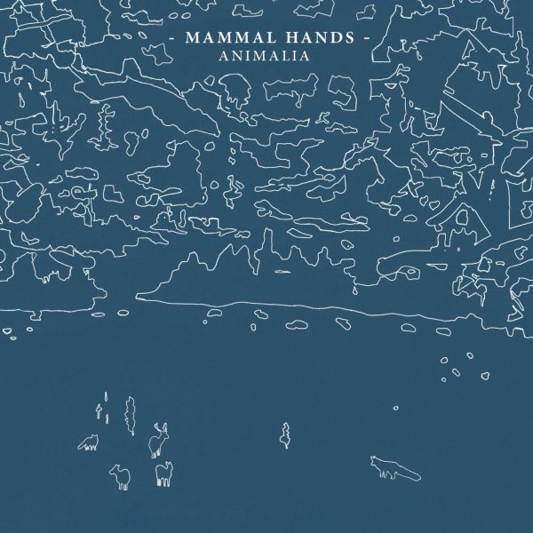Animalia [CD]