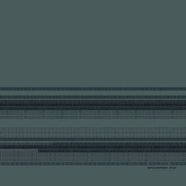 MARCO MONFARDINI - Detect [Vinyl] (ONLINE ORDER ONLY)