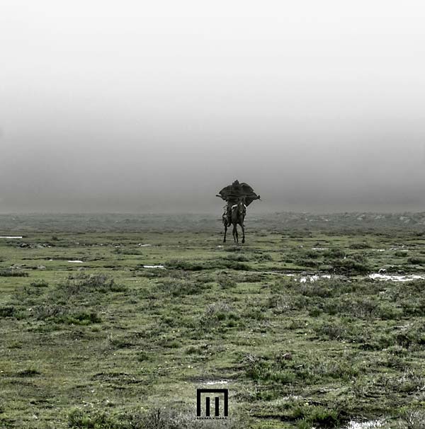 MARKUS WORMSTORM - Figure In Field [Vinyl]