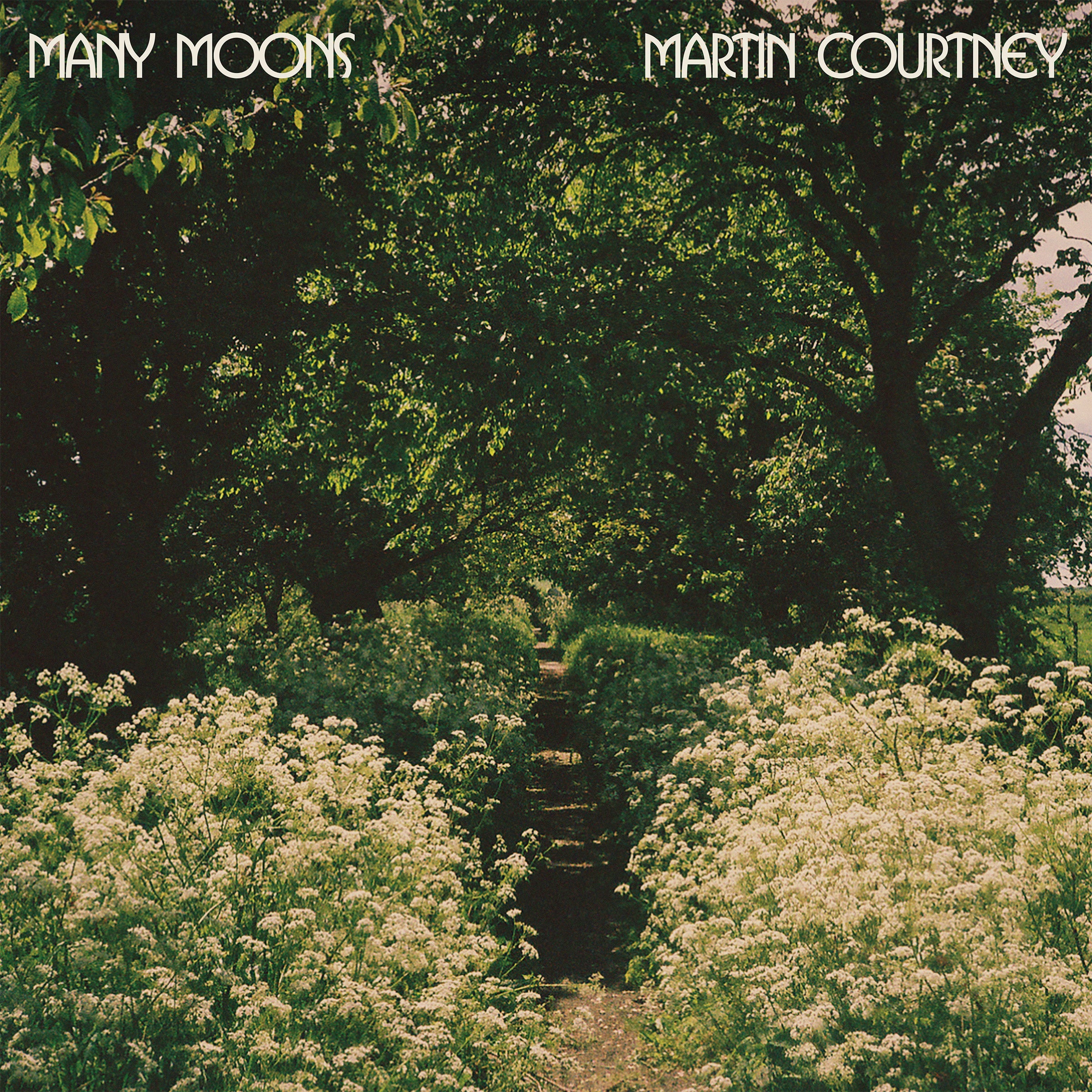 Many Moons [Vinyl] (ONLINE ORDER ONLY)