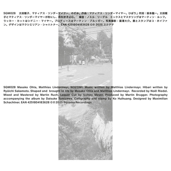 Nozomi [Vinyl] (ONLINE ORDER ONLY)