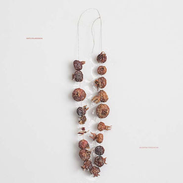 MATS ERLANDSSON - Valentina Tereshkova [Vinyl] (ONLINE ORDER ONLY)