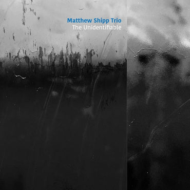 MATTHEW SHIPP TRIO - The Unidentifiable [CD] (ONLINE ORDER ONLY)