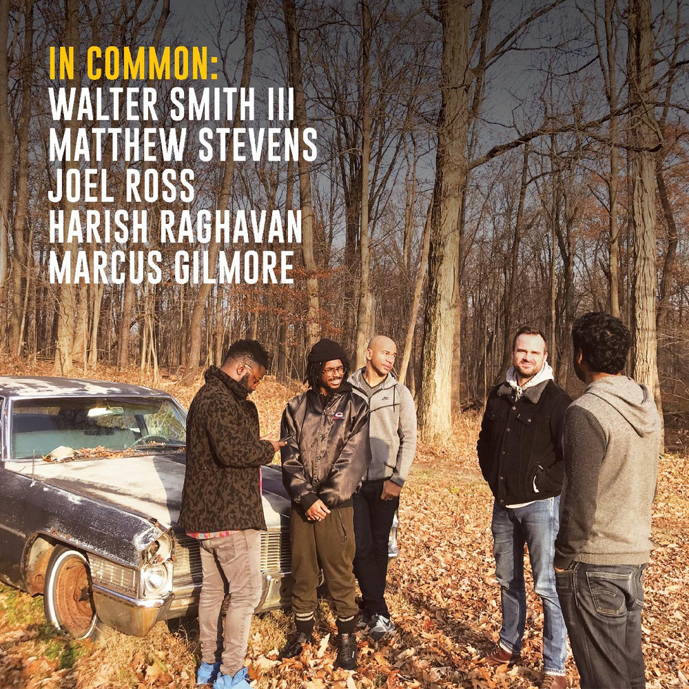 Matthew & Walter Smith III Stevens - In Common: [Vinyl] (ONLINE ORDER ONLY)