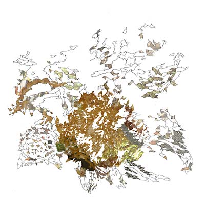 Max Eilbacher - Red Anxiety Tracers [Vinyl]