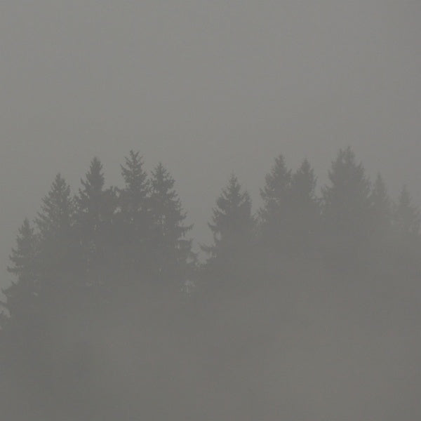 MAX LODERBAUER - Donnerwetter [Vinyl] (ONLINE ORDER ONLY)