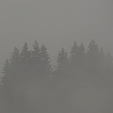 MAX LODERBAUER - Donnerwetter [Vinyl] (ONLINE ORDER ONLY)