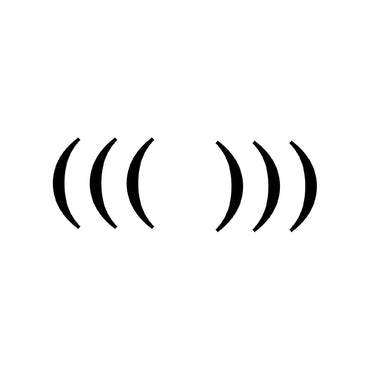 MC Paul Barman - (((echo chamber))) [Vinyl] (ONLINE ORDER ONLY)
