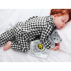 Iowa Hawkeyes - Security Bear Gray