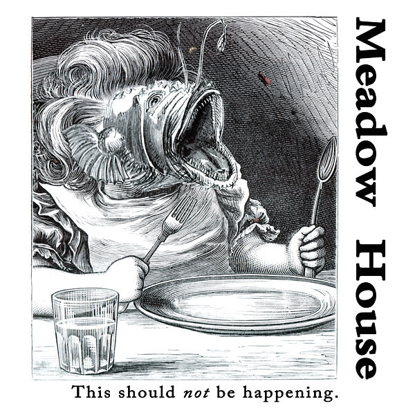 This Should Not Be Happening [Vinyl]