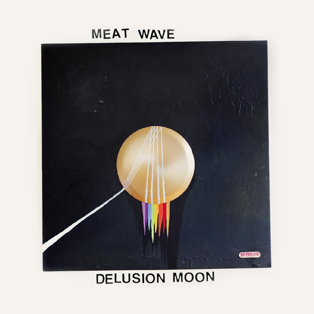 Delusion Moon [Vinyl]